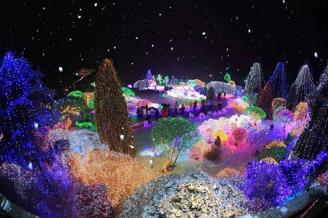 Eobi Valley, Alpaca World, Nami Island, Railbike/Garden fr Seoul - An In-Depth Look at the Tour Experience