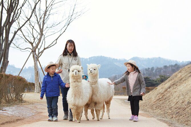 Eobi Valley, Alpaca World, Nami Island, Railbike/Garden fr Seoul - Final Thoughts