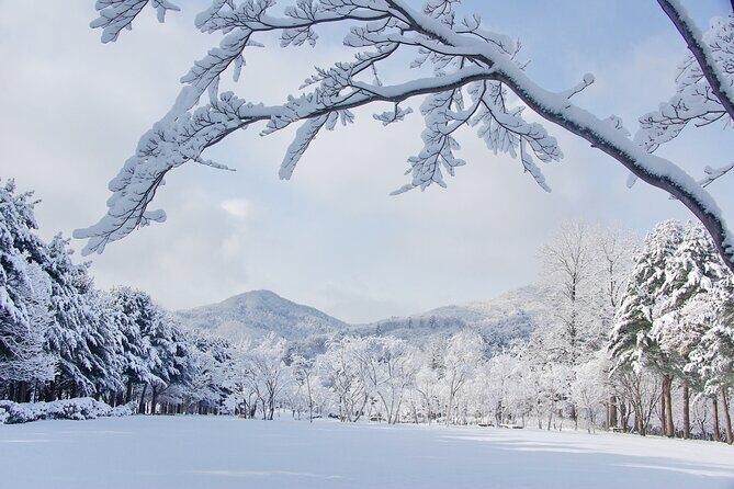 Eobi Valley, Alpaca World, Nami Island, Railbike/Garden fr Seoul - FAQ