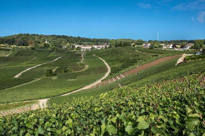 Epernay and Vineyards With Champagne Tasting - Good To Know