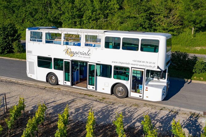 Epernay and Vineyards With Champagne Tasting - Tour Details and Accessibility