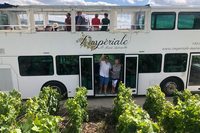 Epernay and Vineyards With Champagne Tasting - Cancellation Policy