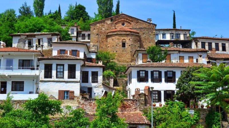 Ephesus: 1 or 2 Day Private Tour - Included in Tour