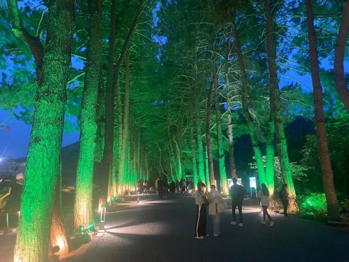Ephesus by Night Private Tour - Frequently Asked Questions