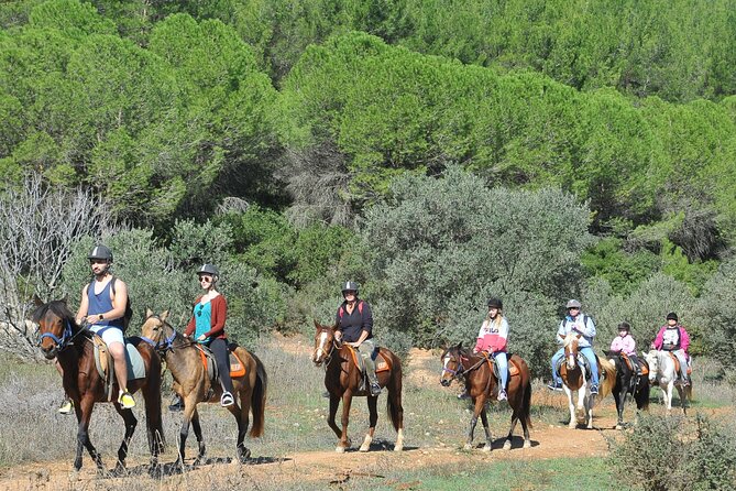 Ephesus Full-Day Tour With Horse Safari From Kusadasi Cruise Port Max 10 People - Ephesus: Ancient City Exploration