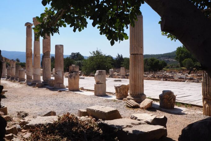 Ephesus: Half-Day Tour From Kusadasi or İIZMIR - Knowledgeable and Personalized Service