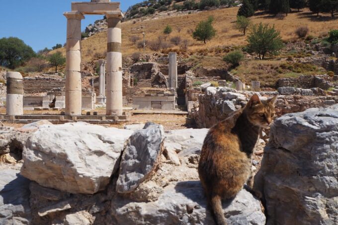 Ephesus: Half-Day Tour From Kusadasi or İIZMIR - Frequently Asked Questions