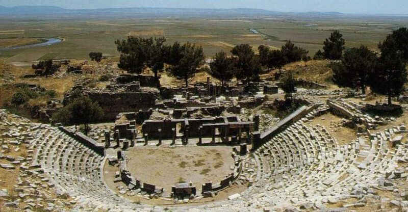 Ephesus, Priene, Miletos and Didyma Tour - Transportation and Services
