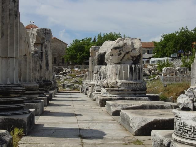 Ephesus, Priene, Miletos and Didyma Tour - Mythological Storytelling