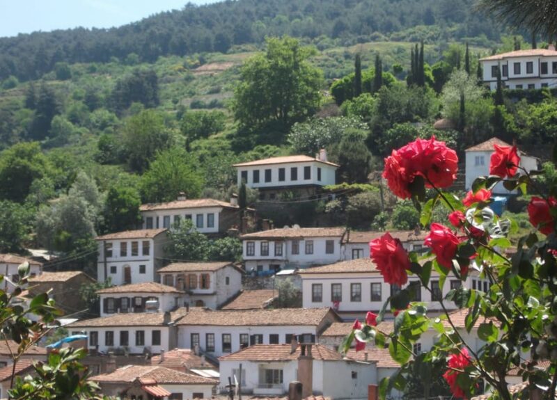 Ephesus & Sirince Village Tour From Izmir - Customer Reviews