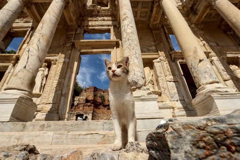Ephesus Tour W/Istanbul Combination for Cruise Passengers - Itinerary Highlights