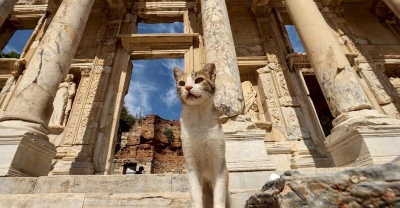Ephesus Tour W/Istanbul Combination for Cruise Passengers - Temple of Artemis