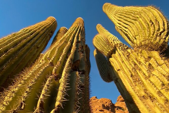 Epic Camelback Mountain Guided Hiking Adventure in Phoenix, Arizona - Highlights of the Camelback Mountain Hike