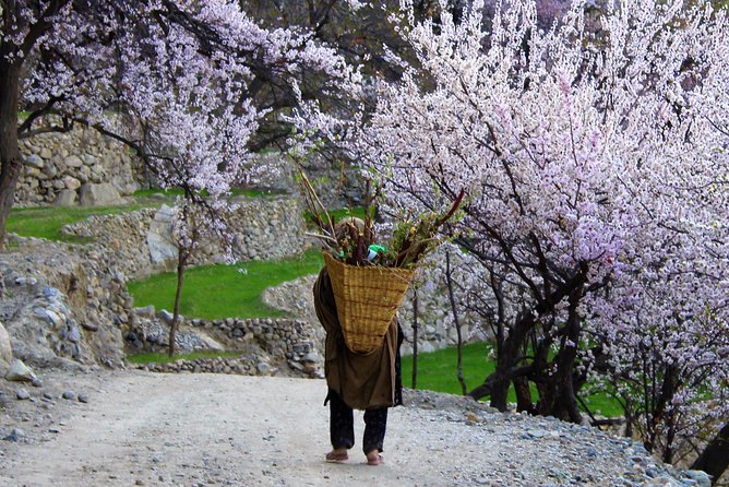Epic Jeep Safari & Cultural Adventure: Explore Gilgit Baltistan - Accessibility and Health Considerations