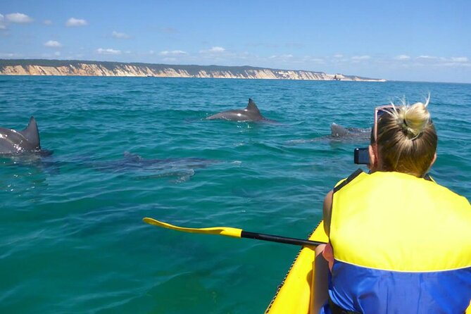 Epic Kayak With Dolphins & Wildlife - 4WD Beach Adventure Noosa - Discover Double Island Point