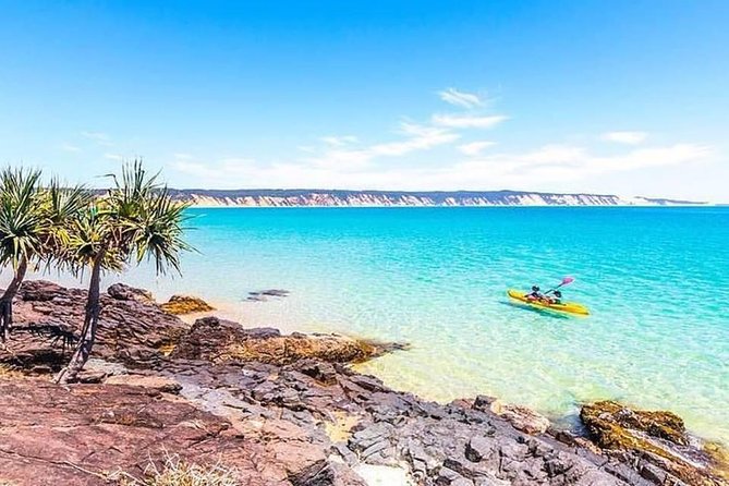 Epic Kayak With Dolphins & Wildlife - 4WD Beach Adventure Noosa - Kayak Instruction and Equipment