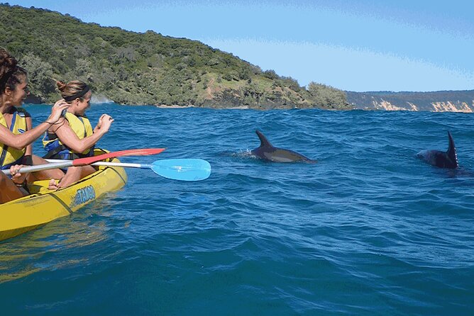Epic Kayak With Dolphins & Wildlife - 4WD Beach Adventure Noosa - Noosa North Shore Crossing