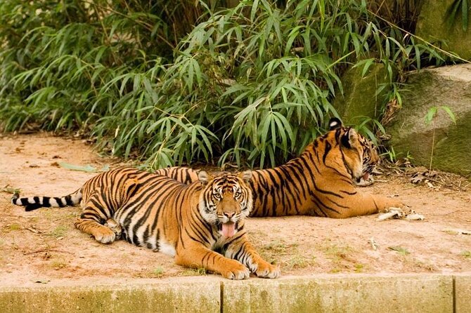 Epic Let's Roam's Scavenger Hunt Washington: Scavenger Hunt at the National Zoo! - Location and Operating Hours