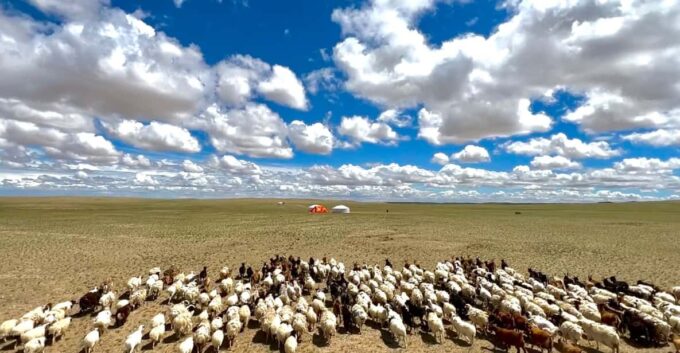 Epic Mongolian Gobi Nature Tour: 4 Nights 5 Days - Reservation and Payment Options