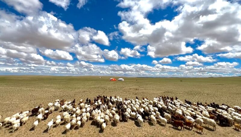 Epic Mongolian Gobi Nature Tour: 4 Nights 5 Days - Key Points