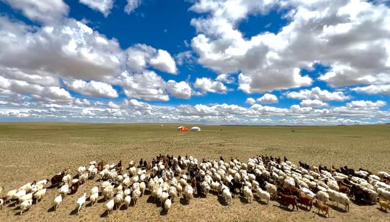 Epic Mongolian Gobi Nature Tour: 4 Nights 5 Days - Experience and Activities