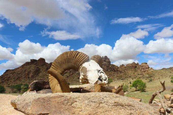 Epic Mongolian Gobi Nature Tour: 4 Nights 5 Days - Cancellation and Refund Policy