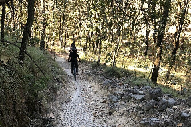 Epic MTB ride at Guadalajara forest. - Why This MTB Tour Offers More Than Just Riding