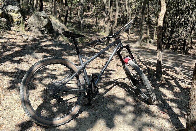 Epic MTB ride at Guadalajara forest. - Who Will Love It?