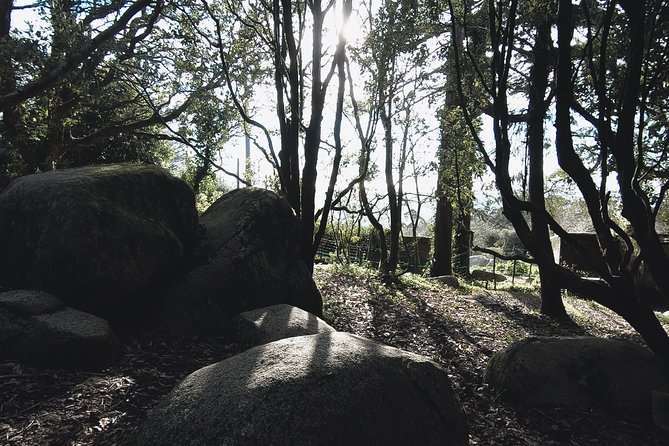Epic Off-Road Adrenaline in Sintra - Additional Information