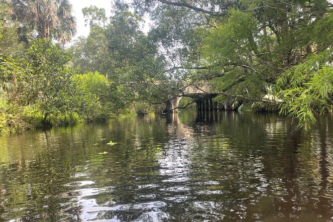 Epic Paddleboarding & Wildlife Adventure - Recap of the Adventure