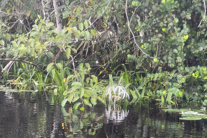 Epic Paddleboarding & Wildlife Adventure - Frequently Asked Questions