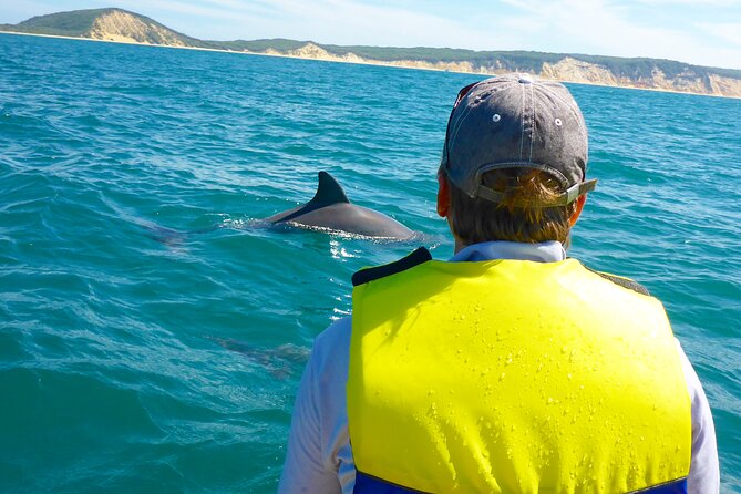Epic Rainbow Beach Dolphin Kayak and 4WD Adventure Tour - Key Points