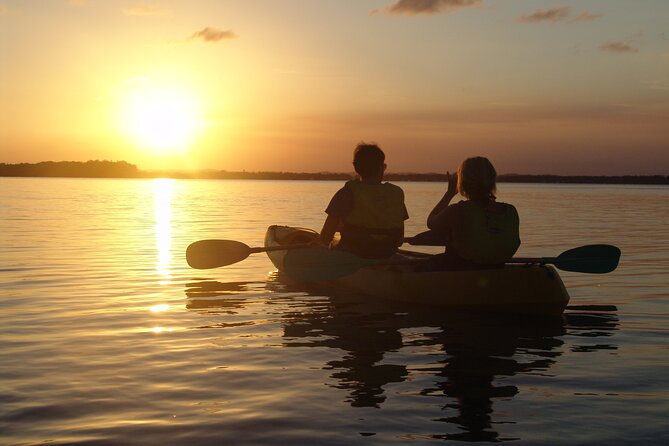 Epic Rainbow Beach Dolphin Kayak and 4WD Adventure Tour - Kayak Experience