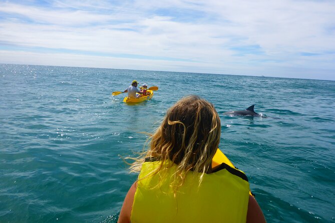 Epic Rainbow Beach Dolphin Kayak and 4WD Adventure Tour - Transportation and Meals