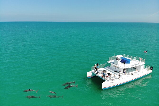 Epic Sandbar Safari With Dolphin Playground Encounter In Key West - Arrival and Check-in Procedures