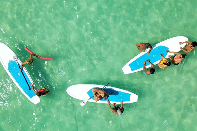 Epic Sandbar Safari With Dolphin Playground Encounter In Key West - Confirmation and Traveler Capacity