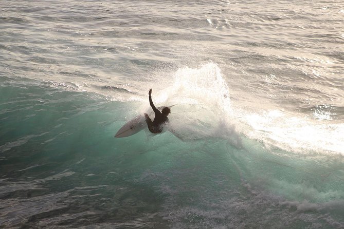 Epic Surf Safari - Best of Maui - Customer Feedback