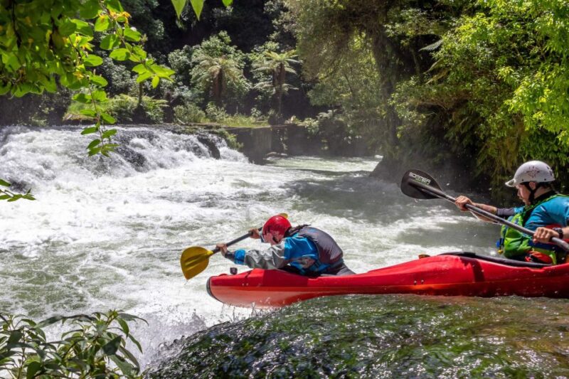 Epic Tandem Kayak Tour Down the Kaituna River Waterfalls - Key Points