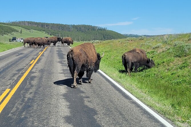 Epic Yellowstone Private Tour - Cancellation Policy