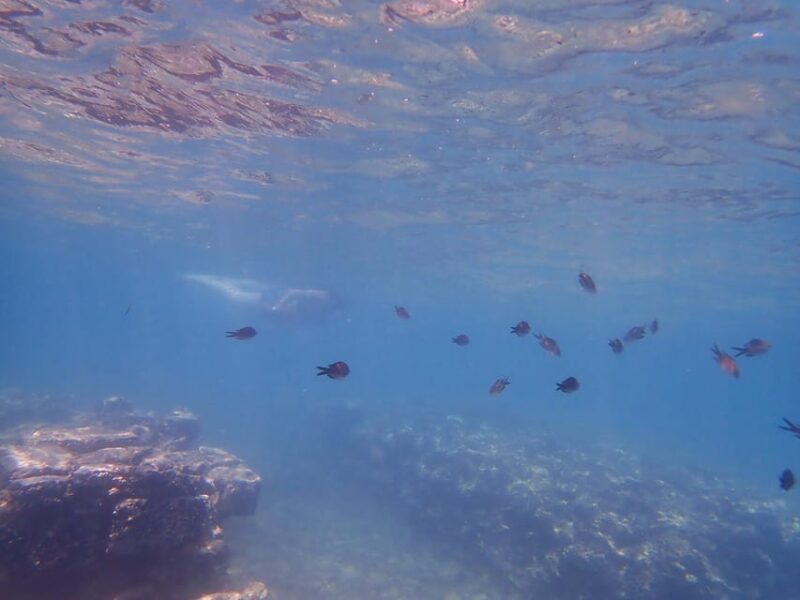 Epidaurus Ancient Theatre & Snorkeling in Sunken City Prive - Epidaurus Theater Significance