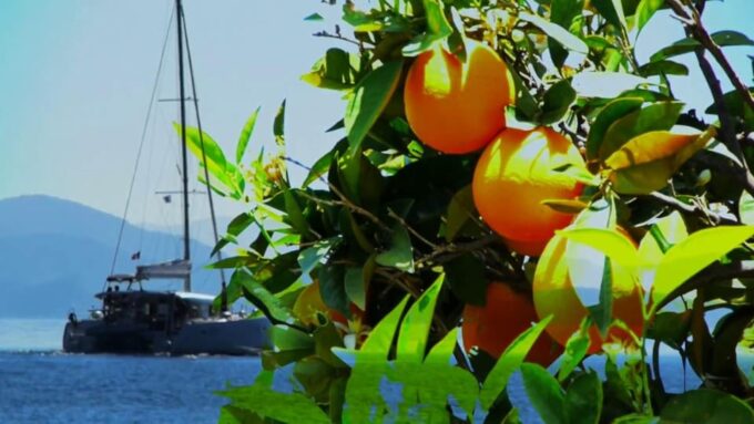 Epidaurus Ancient Theatre & Snorkeling in Sunken City Prive - Aegean Seas Crystal Clarity
