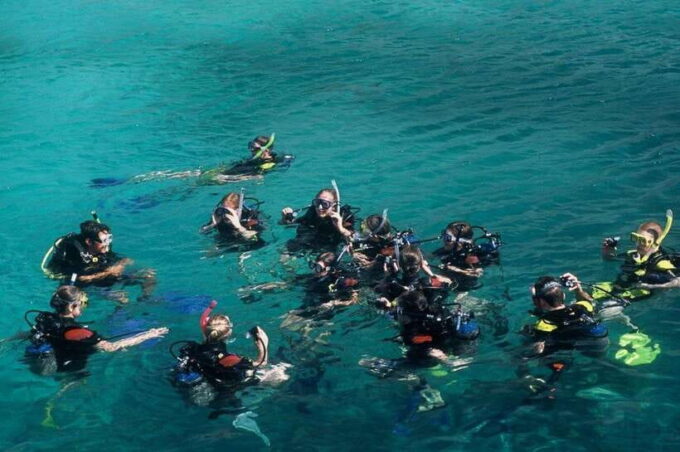 EPLORE NHA TRANG: MINI BEACH - CORAL BAY TOUR - Since You Asked