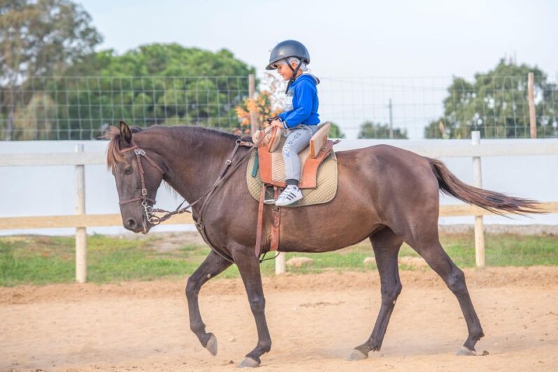 Equestrian Baptism - Itinerary