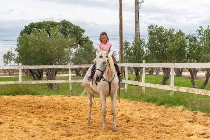 Equestrian Baptism - Included Services