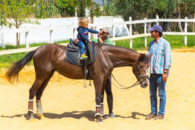Equestrian Baptism - Minimum Age and Weight