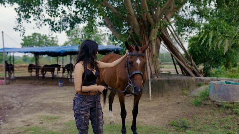 Equestrian Escape: Horse Safari Adventure - The Horseback Ride