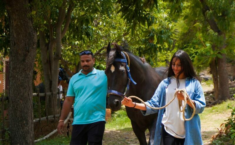 Equestrian Escape: Horse Safari Adventure - What We Loved and What’s Noteworthy