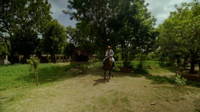 Equestrian Escape: Horse Safari Adventure - Who Should Consider This Tour?