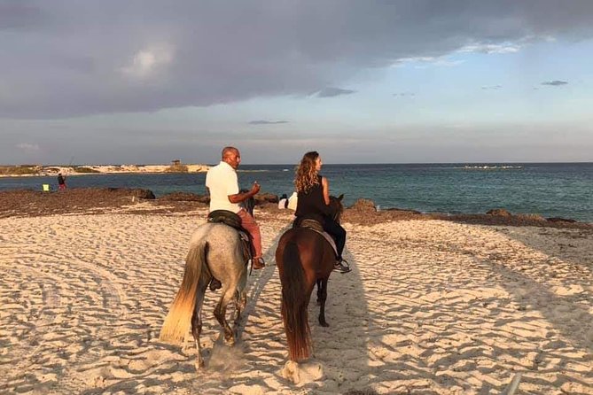 Equestrian Rides - Riding Gear and Equipment
