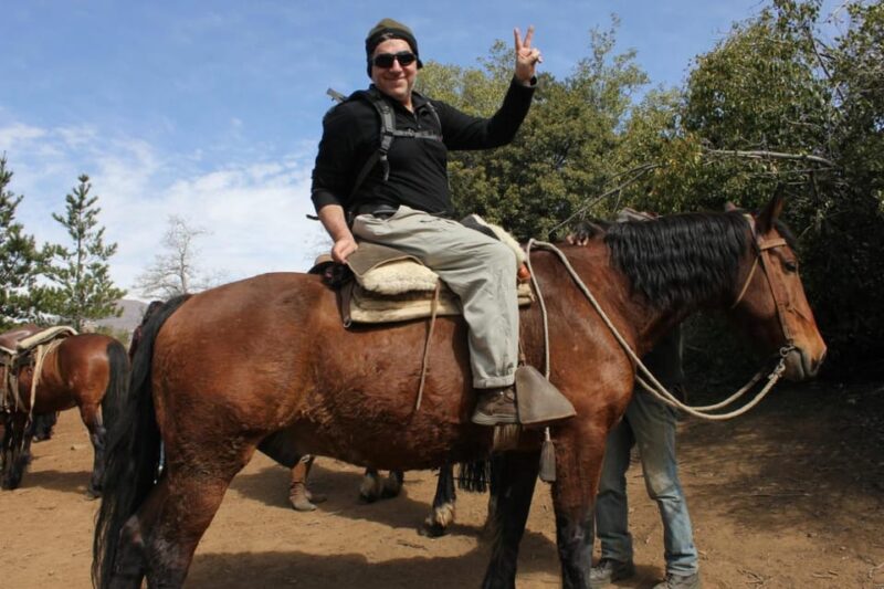 Equestrian Routes Between Trees and Countertops - Pickup Locations